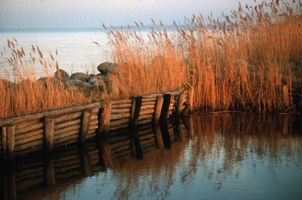 Ferienwohnungen Kanuhof Freest Bagian luar foto